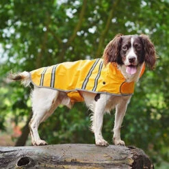 Sötnos Hondenregenjas -Beste Dierenartikelen Winkel stnos hondenregenjas 130475 0500 none