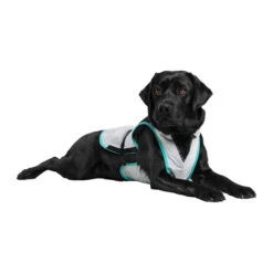 Suitical DRY Cooling Vest -Beste Dierenartikelen Winkel suitical dry cooling vest 149879 2000 none