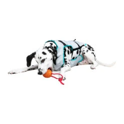 Suitical DRY Cooling Vest -Beste Dierenartikelen Winkel suitical dry cooling vest 149882 2000 none