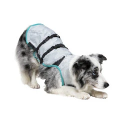 Suitical DRY Cooling Vest -Beste Dierenartikelen Winkel suitical dry cooling vest 149888 2000 none
