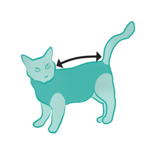 Suitical Recovery Suit Kat 3 Suitical Recovery Suit Kat - Afbeelding 3