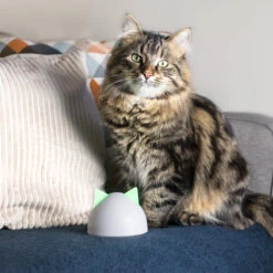 Sureflap Sure Petcare Hub -Beste Dierenartikelen Winkel sure petcare hub 219855 2000 none