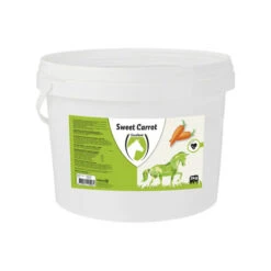 Excellent Sweet Blocks -Beste Dierenartikelen Winkel sweet blocks 102442 0500 none