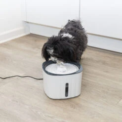 Trixie Drinkfontein Bloem -Beste Dierenartikelen Winkel trixie drinkfontein bloem 205304 1500 none