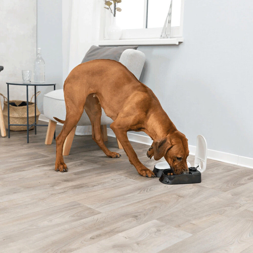 Trixie Dubbele Voederautomaat TX2 4 Trixie Dubbele Voederautomaat TX2 - Afbeelding 4