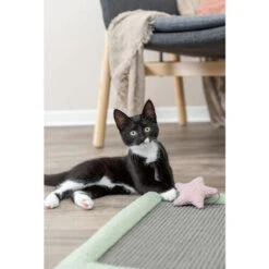 Trixie Junior Krabmat -Beste Dierenartikelen Winkel trixie junior krabmat 221246 0500 none