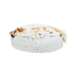 Trixie Kussen Harvey 9 Trixie Kussen Harvey -Beste Dierenartikelen Winkel trixie kussen harvey 170530 2000 none