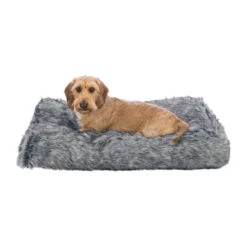 Trixie Kussen Yelina -Beste Dierenartikelen Winkel trixie kussen yelina 216146 2000 none