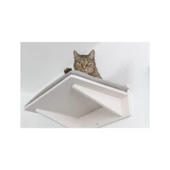 Trixie Ligplateau Voor Muur -Beste Dierenartikelen Winkel trixie ligplateau voor muur 186835 1500 none