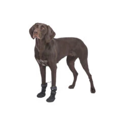 Trixie Pootbescherming Walker Active Long 21 Trixie Pootbescherming Walker Active Long -Beste Dierenartikelen Winkel trixie pootbescherming walker active long 207476 1000 none