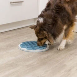 Trixie Slow Feeding Voederbak Bijenkorf 8 Trixie Slow Feeding Voederbak Bijenkorf -Beste Dierenartikelen Winkel trixie slow feeding voederbak bijenkorf 205454 0500 none