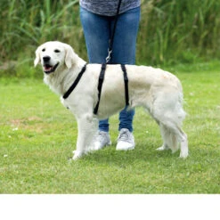 Trixie Stay Hondentuig 13 Trixie Stay Hondentuig -Beste Dierenartikelen Winkel trixie stay hondentuig 95231 0500 none