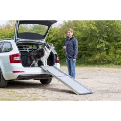 Trixie Telescoop Loopplank Aluminium -Beste Dierenartikelen Winkel trixie telescoop loopplank grijs 209066 2000 none