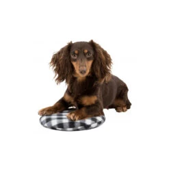 Trixie Warmtekussen -Beste Dierenartikelen Winkel trixie warmtekussen 145868 1000 none