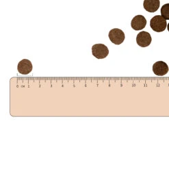 Vetality Gastrointestinal Low Fat - Hondenvoer -Beste Dierenartikelen Winkel vetality gastrointestinal low fat hondenvoer 182350 2000 none