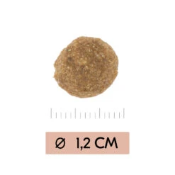 Vetality Gastrointestinal Low Fat - Hondenvoer -Beste Dierenartikelen Winkel vetality gastrointestinal low fat hondenvoer 195467 1000 none