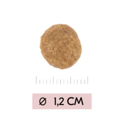 Vetality Skin Support - Hondenvoer -Beste Dierenartikelen Winkel vetality skin support hondenvoer 195452 1000 none