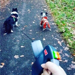 Wigzie Dual Doggie 3.0 -Beste Dierenartikelen Winkel wigzi dual doggie 30 167845 0500 none