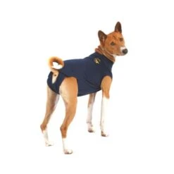 Medical Pet Shirt Hond -Beste Dierenartikelen Winkel xPuDXIGJ8BUF7KNct4dTau2Ls058PG metaYzY5MjU1OWNiMjdkMjQ4YTBkODUyNGFkZWQ4MzM5NDgzZjhkNDFmOGJkN2ZmMmU1MzNjZmYwODUxN2VhNDUxYV8zLmpwZWc