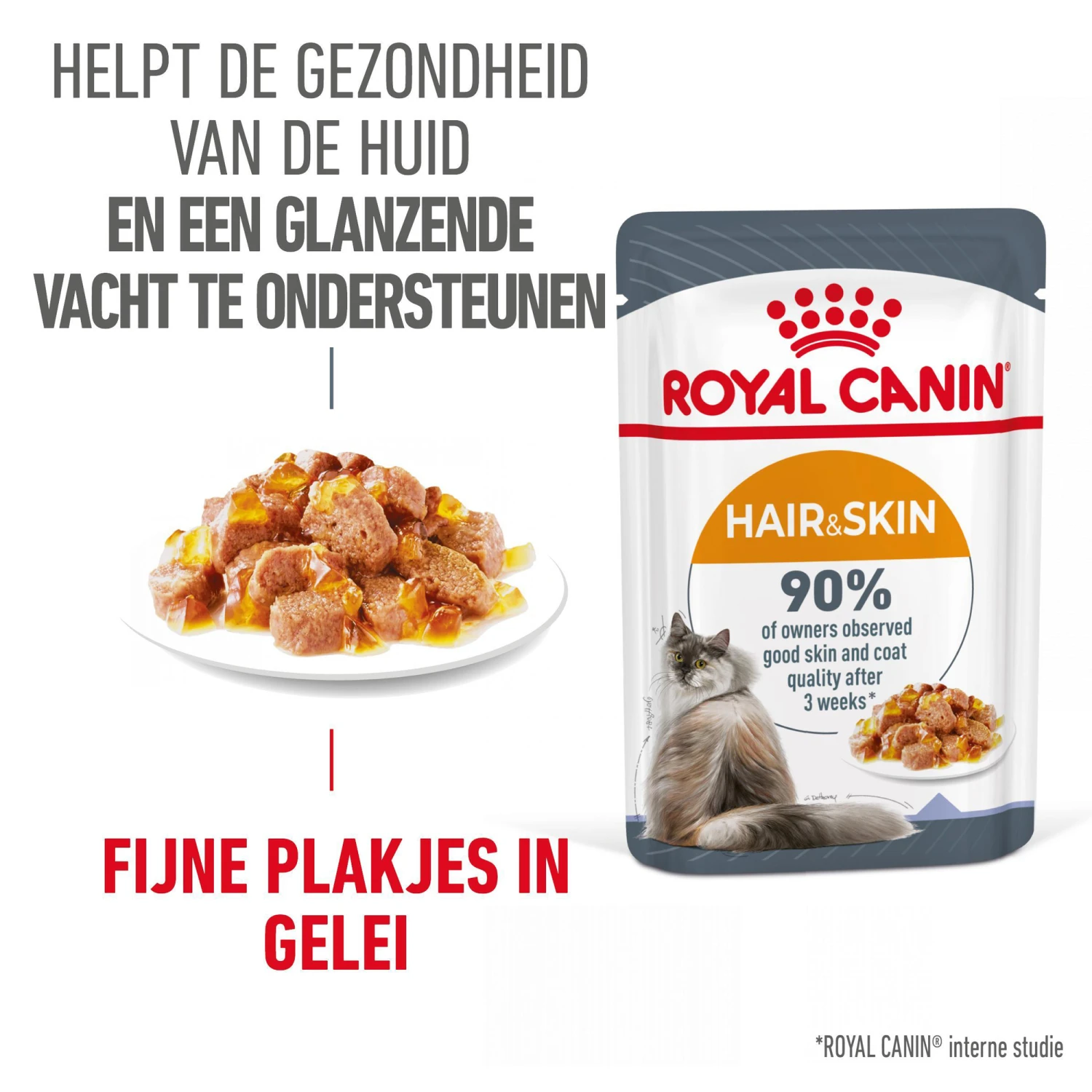 Royal Canin Hair & Skin In Jelly - Kattenvoer 2 Royal Canin Hair & Skin In Jelly - Kattenvoer - Afbeelding 2