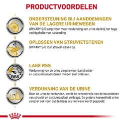 Royal Canin Urinary S/O Kat 17 Royal Canin Urinary S/O Kat -Beste Dierenartikelen Winkel znVPdapKahwHPJlG666BCg37AIk9Q7 metaVVJJTkFSWS1TTy1MT0FGLTMuanBn